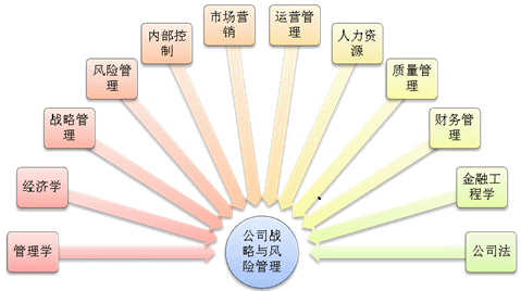公司戰(zhàn)略與風(fēng)險(xiǎn)管理